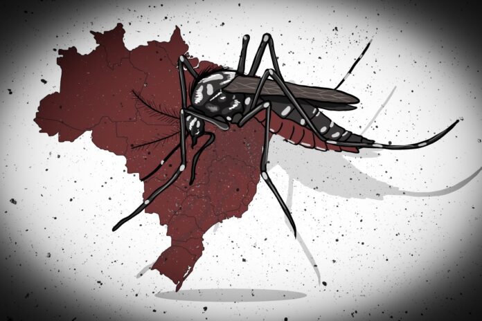 com-recordes-de-casos-e-mortes,-2024-foi-o-ano-mais-critico-da-dengue