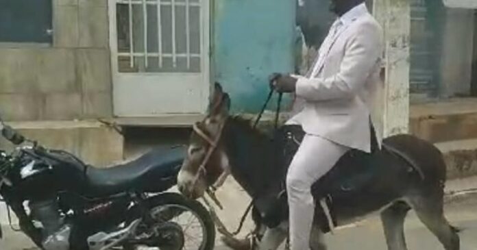 vereador-chega-para-posse-montado-em-jumento-no-centro-norte-baiano