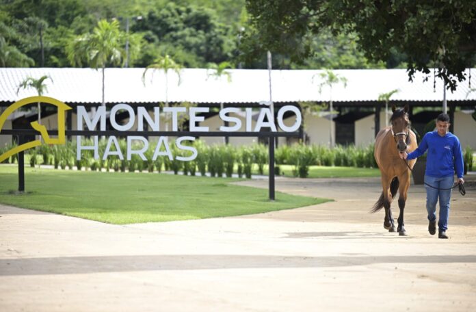 monte-siao:-novo-conceito-de-modernidade-e-genetica-de-ponta-no-brasil