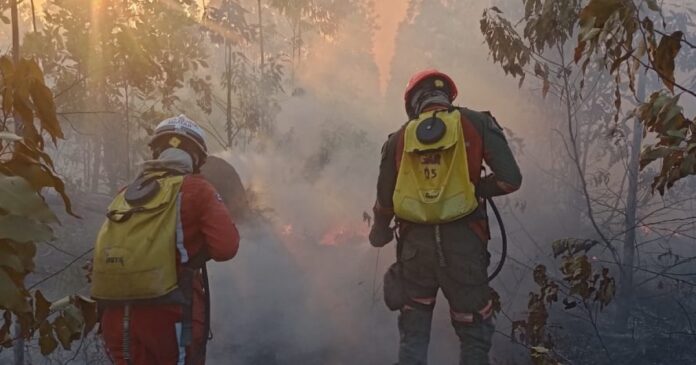 reforco-de-35-bombeiros-chega-a-chapada-diamantina-para-combater-incendios