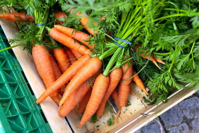 5-alimentos-ricos-em-colageno-para-ter-uma-pele-linda-e-saudavel