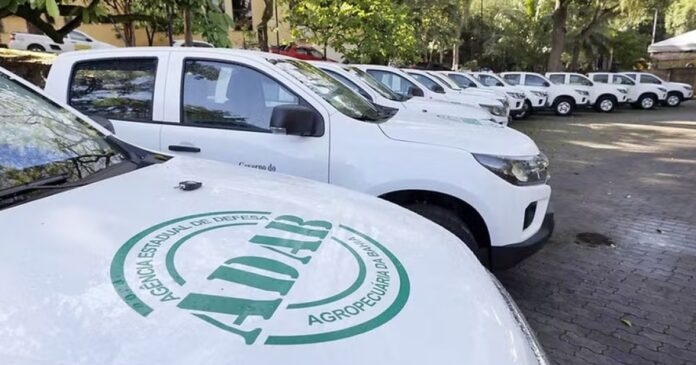 governo-do-estado-lanca-processo-seletivo-com-241-vagas-para-tecnicos-temporarios-na-adab