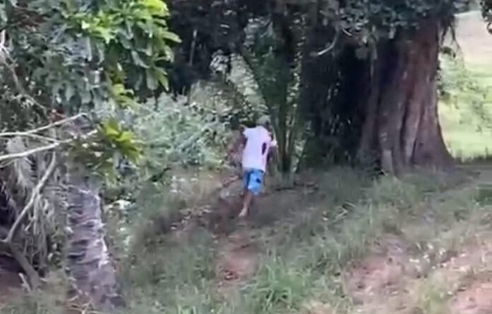 homem-baleado-em-onibus-e-fugiu-para-o-mato-e-encontrado-morto-a-cerca-de-500-metros-do-local