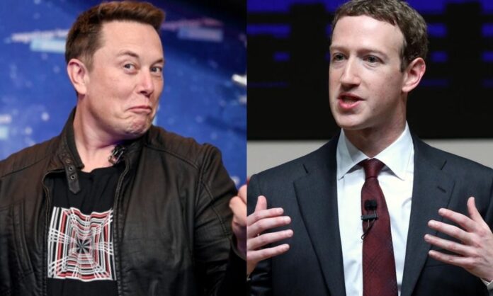 elon-musk-enaltece-mudanca-de-zuckerberg-na-meta-sobre-verificacao-digital