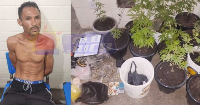 pm-encontra-laboratorio-de-drogas-e-prende-homem-em-flagrante-em-lauro-de-freitas
