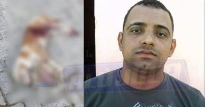 homem-e-executado-com-mais-de-20-tiros-em-trancoso,-no-extremo-sul-da-bahia;-ate-cachorro-e-morto