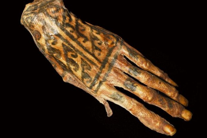 tecnica-inovadora-revela-detalhes-de-tatuagens-de-mumias-peruanas