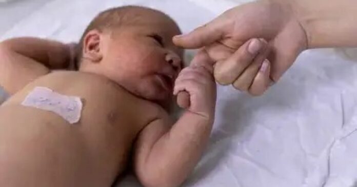 cientistas-descobrem-porque-virus-da-zika-causa-microcefalia-em-bebes