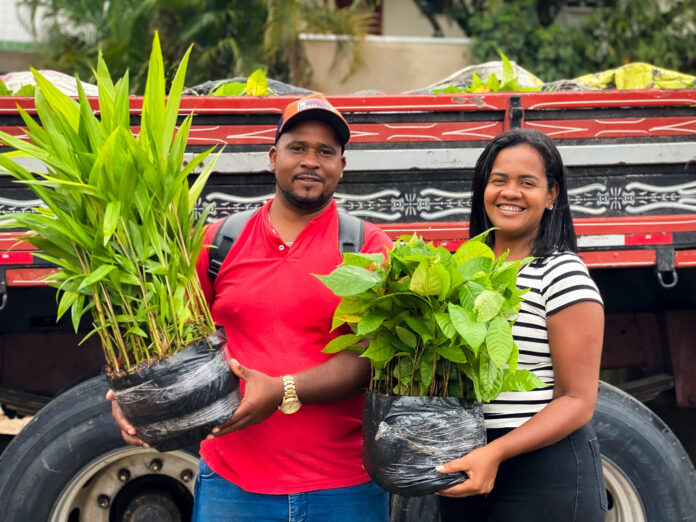 secretaria-de-agricultura-recebe-mudas-de-cacau-e-acai-pra-fomentar-producao-local