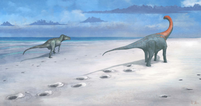 escavacao-descobre-“rodovia-dos-dinossauros”-na-inglaterra