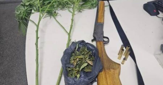 policiais-apreendem-arma,-municoes-e-droga-na-zona-rural-de-ibicarai