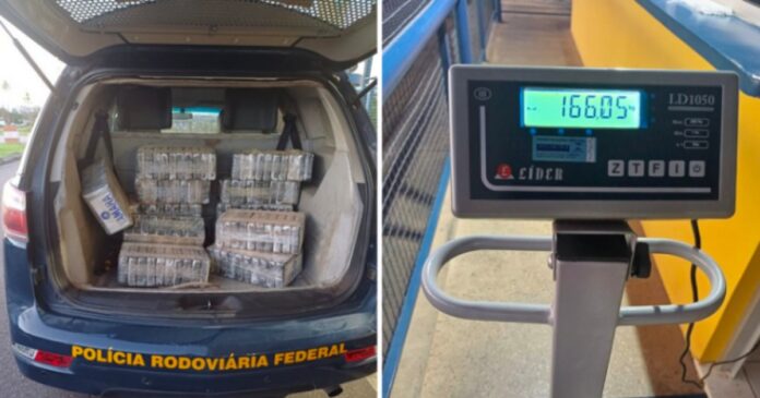 prf-apreende-166-kg-de-cocaina-em-caminhao-na-br-101,-em-santo-antonio-de-jesus