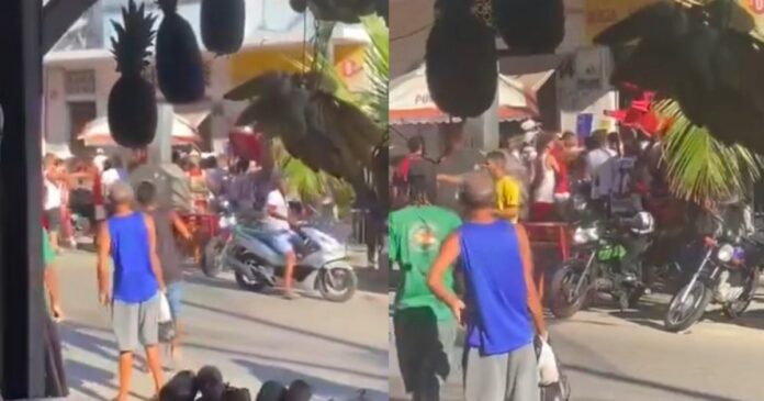 video:-torcedores-do-vitoria-invadem-e-destroem-bar-no-engenho-velho-de-brotas