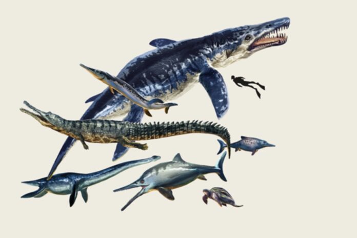 mar-do-caribe-tinha-dinossauros-que-so-comiam-predadores-gigantes