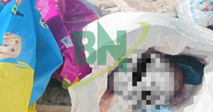 cabeca-humana-e-encontrada-dentro-de-lixao-no-bairro-de-sao-caetano,-em-salvador