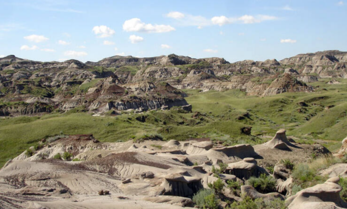 fossil-com-mordida-de-76-milhoes-de-anos-e-escavado-no-canada