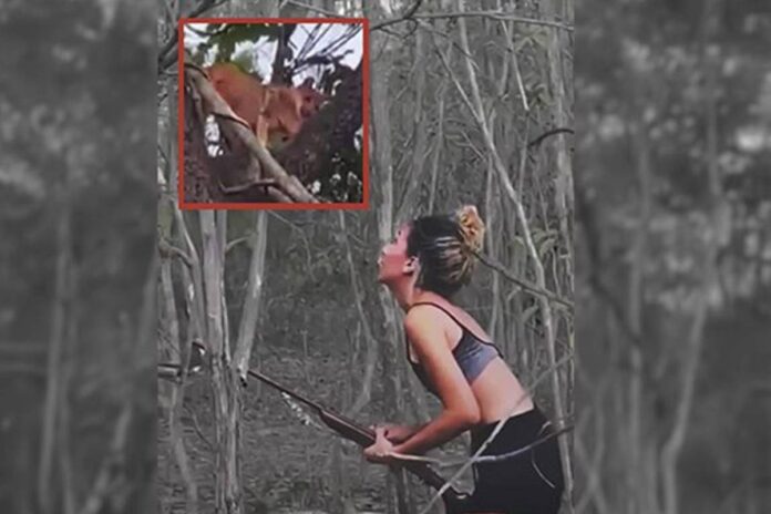 irma-e-pai-de-mulher-que-matou-onca-tambem-sao-multados-pelo-ibama
