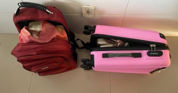 prf-prende-mulher-transportando-13kg-de-maconha-em-onibus-na-br-242