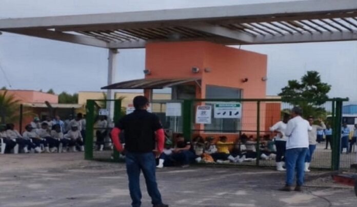 suzano-responde-sobre-greve-na-tecnoplanta-e-nega-responsabilidade-trabalhista
