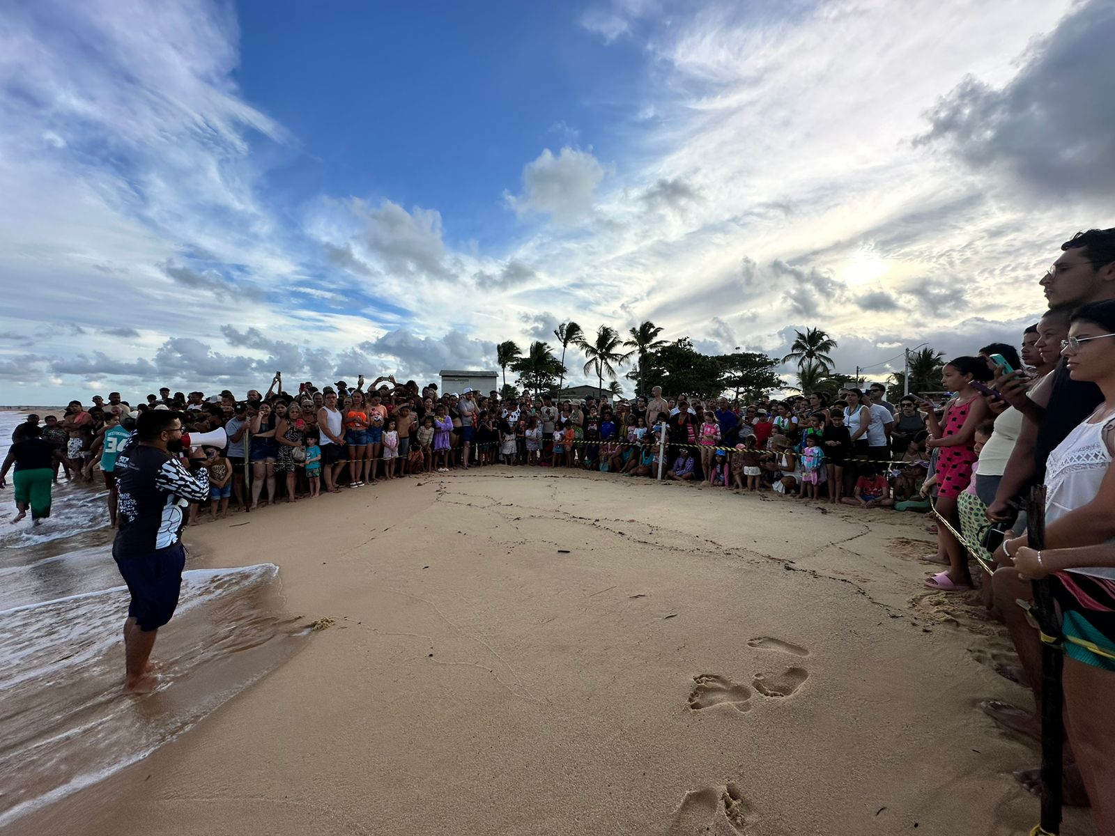 Mais de 160 tartarugas marinhas foram soltas no litoral de Alcobaça 2 Soltura de tartarugas marinhas no litoral de Alcobaca 12 1