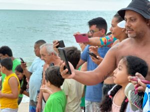 Soltura de tartarugas marinhas no litoral de Alcobaca 5 1
