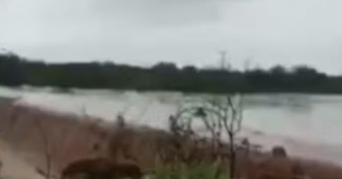 homem-morre-durante-chuvas-no-norte-baiano;-temporal-ainda-causou-desabamento-de-casa