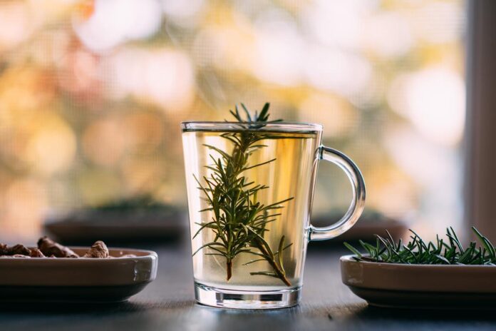 cha-de-alecrim:-conheca-os-beneficios-da-bebida-aromatica-e-nutritiva