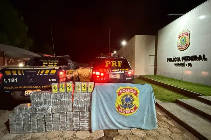 homem-esconde-meia-tonelada-de-cocaina-em-carga-de-milho-para-pipoca