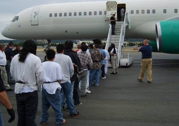 deputada-quer-criar-auxilio-emergencial-para-brasileiros-deportados