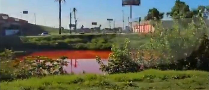 “riacho-de-sangue”-assusta-moradores-na-argentina.-video