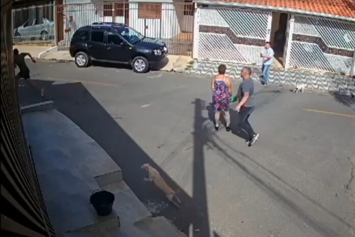 video:-vizinha-escapou-“por-milagre”-de-nao-ser-baleada-por-empresario