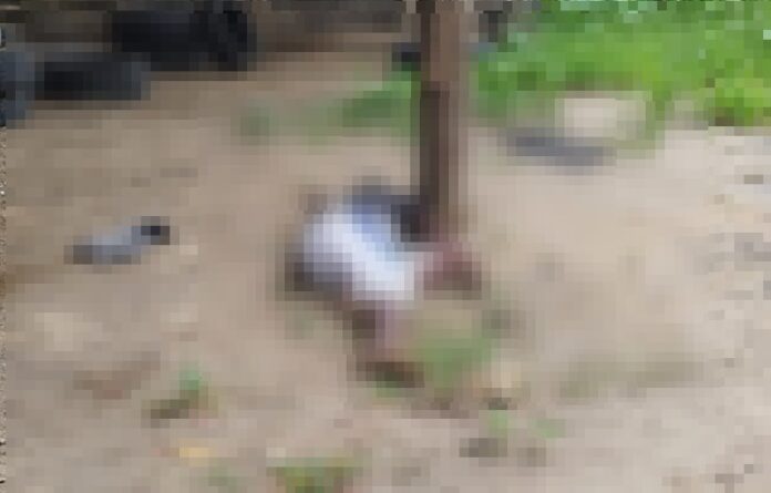 homicidio-em-itamaraju:-vitima-e-executada-a-tiros-no-bairro-corujao
