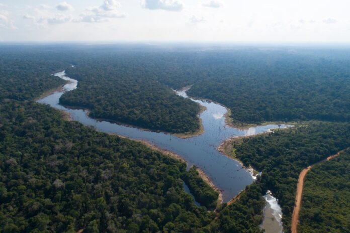 para-reduz-alertas-de-desmatamento-e-reforca-lideranca-ambiental