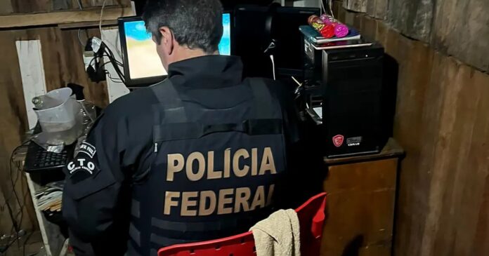 brasil-registra-queda-de-33%-em-crimes-ciberneticos,-aponta-safernet
