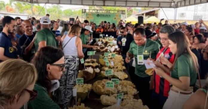 encontro-de-comedores-de-jaca-movimenta-cidade-do-reconcavo-baiano