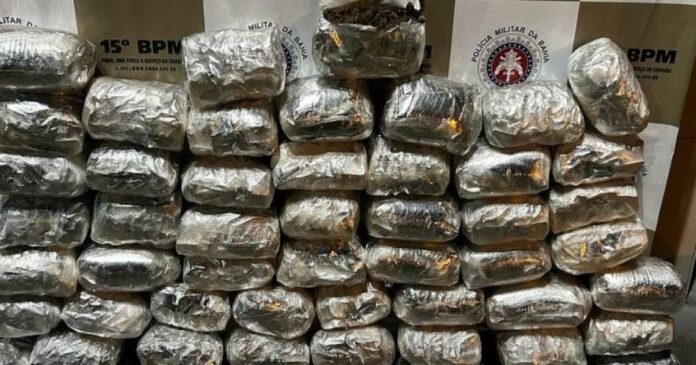 dupla-e-presa-em-centro-comercial-de-cidade-do-sul-baiano-com-50-kg-de-maconha