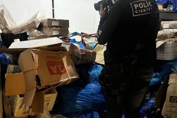 policia-acha-mais-de-10-toneladas-de-carnes-e-queijos-vencidos-em-loja