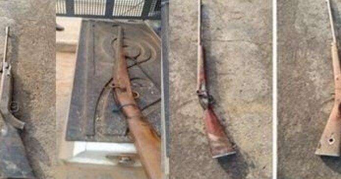 acao-conjunta-apreende-oito-armas-e-resgata-141-aves-silvestres-no-nordeste-baiano