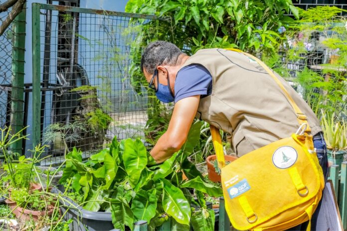 distrito-federal-reforca-as-acoes-de-prevencao-e-combate-a-dengue 