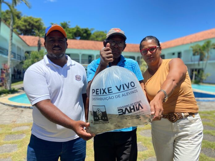 produtores-rurais-de-prado-recebem-30-mil-alevinos-de-tilapia