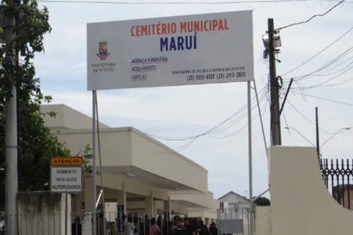 pit-bull-que-matou-mulher-em-niteroi-foi-morto-por-vizinhos-da-vitima