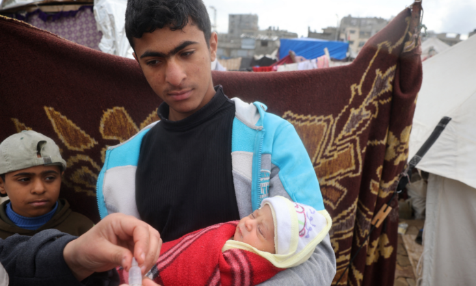 seis-recem-nascidos-morreram-de-hipotermia-em-gaza-em-meio-a-onda-de-frio