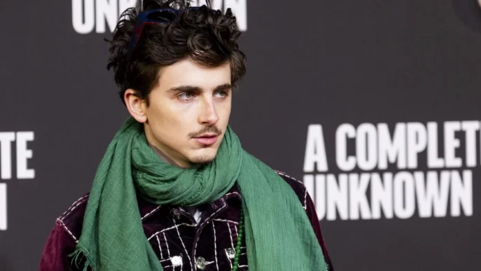 nao-sabia-muito-sobre-o-legado-musical-de-bob-dylan,-diz-timothee-chalamet