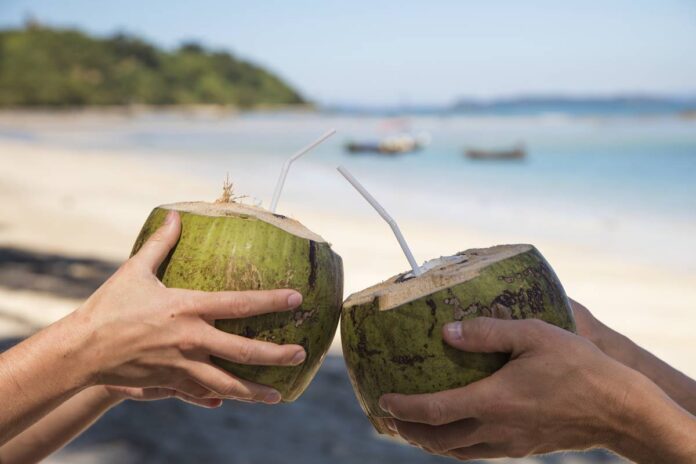 alem-da-hidratacao:-veja-5-motivos-para-apostar-na-agua-de-coco
