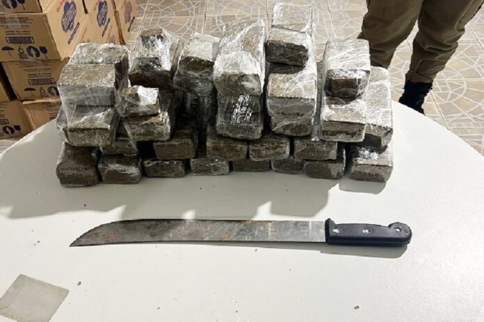 casal-e-preso-com-15-kg-de-maconha-na-ba-290-em-alcobaca