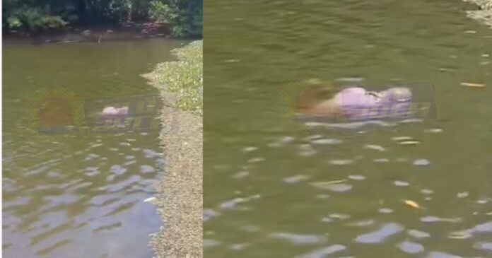corpo-em-decomposicao-e-encontrado-por-moradores-boiando-na-lagoa-do-abaete