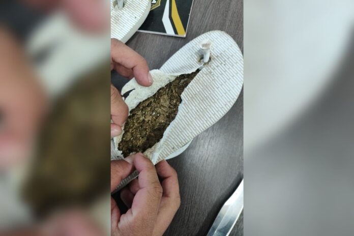 mae-tenta-levar-maconha-escondida-em-chinelo-para-o-filho-na-papuda