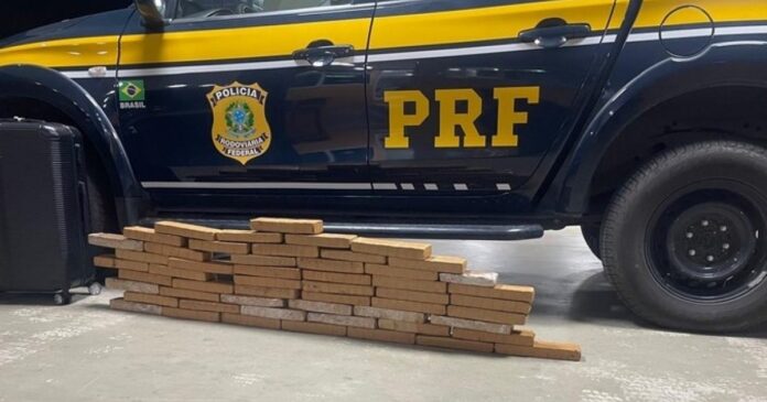 prf-apreende-30-kg-de-maconha-em-onibus-na-br-116-proximo-a-vitoria-da-conquista