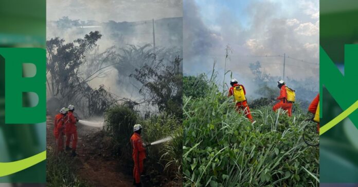 bombeiros-combatem-incendio-em-vegetacao-no-anel-viario-da-br-242-em-barreiras