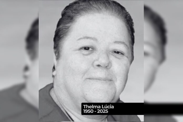 dubladora-thelma-lucia,-de-pokemon-e-dragon-ball,-morre-aos-75-anos